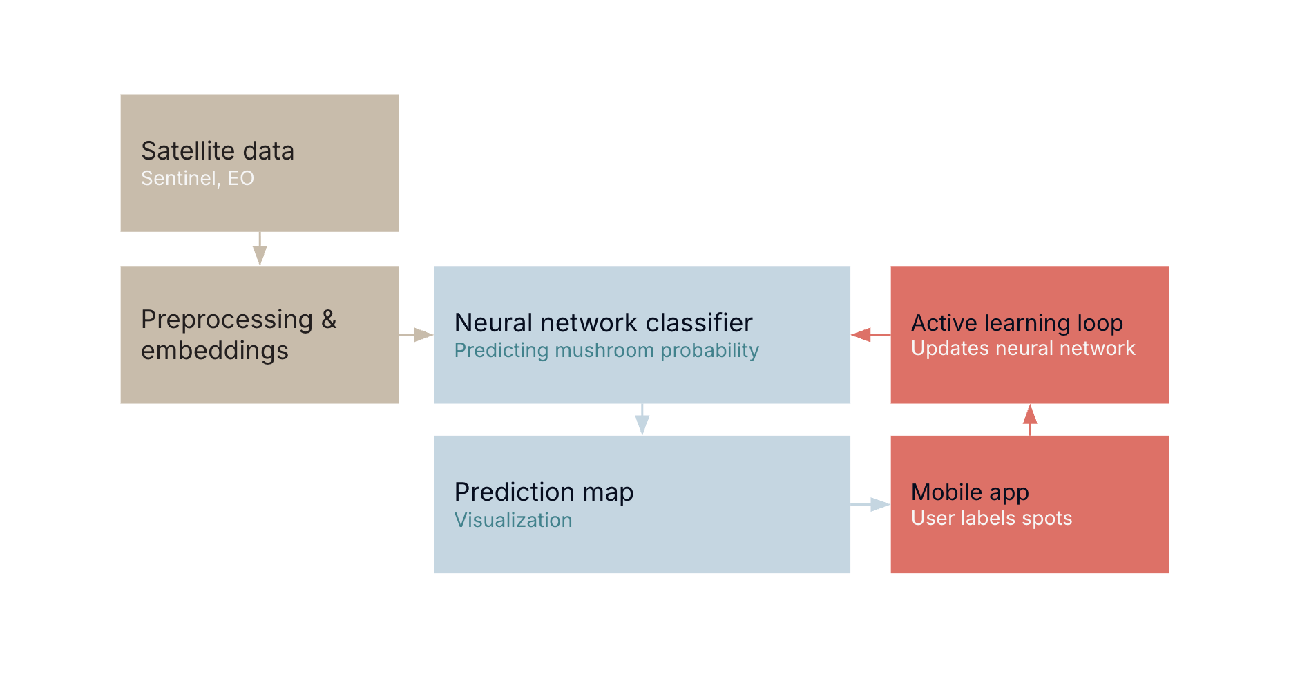 Embeddings and Mushrooms: Another Way of Finding Fungi