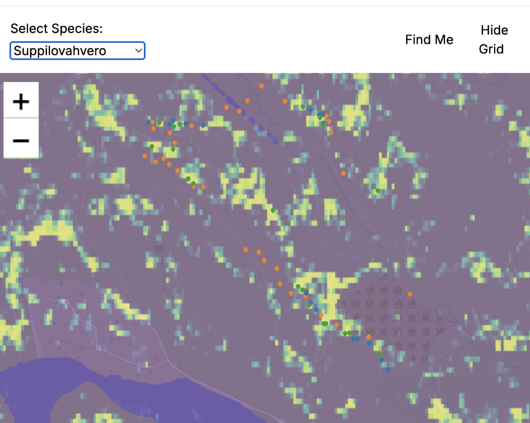 Embeddings and Mushrooms: Another Way of Finding Fungi